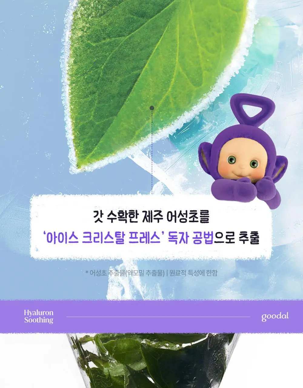 [텔레토비 콜라보] 구달 어성초 히알루론 수딩 크림 75ml 리필 기획 (+75ml) (+왕 스티커 3매) 상세페이지 19